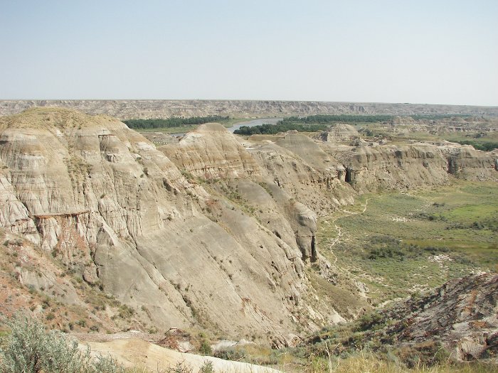 Kanada 2007 Dino (2)